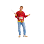 Pull de noel femme-pull de noel homme-harry_potter2
