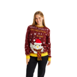Pull de noel femme-pull de noel homme-harry-potter