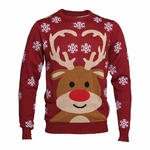 Pull de noel femme - pull de noel homme --rudolph-mignon1