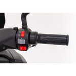 2022-05-19_DÇtail scoot-106