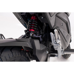 2022-05-19_DÇtail scoot-8