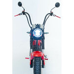 2022-09-16_DÇtail scoot-51