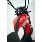 2022-09-16_DÇtail scoot-53