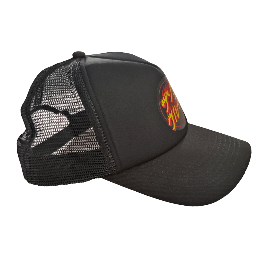 Santa Cruz flame snapback 2