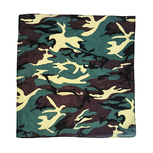 camo bandana 2