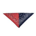 Duotone bandana blue red 2