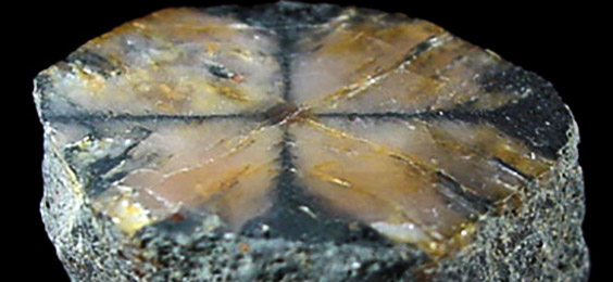 Chiastolite lithosud