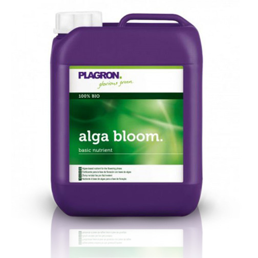 alga-bloom-5l-0123520001372170133