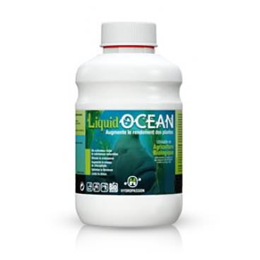 liquid-ocean-500-1336144515