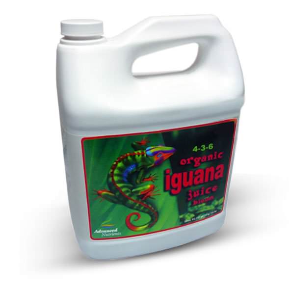 iguana-juice-bloom-4-l-1331311048