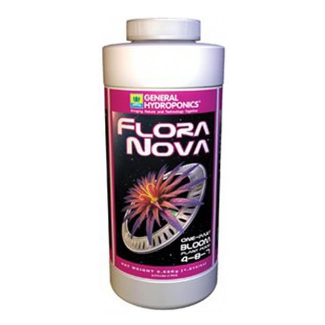 flora-nova-bloom-1323524813