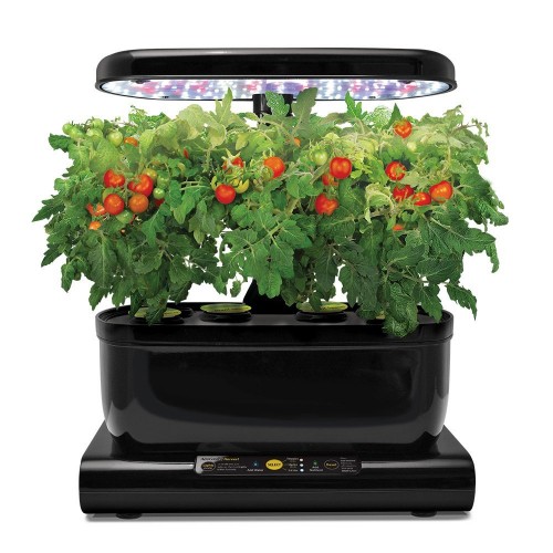 AeroGarden LED tomatoes-500x500