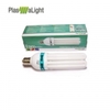 plasma-light-125w-c-0734503001353000683