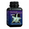 orchid-focus-grow-1323524056