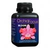 orchid-focus-bloom-1323524150