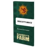 Barneys farm Biscotti Mintz féminisée