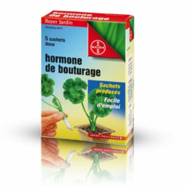 Petit guide de l'hormone de bouturage — Blog GrowShop