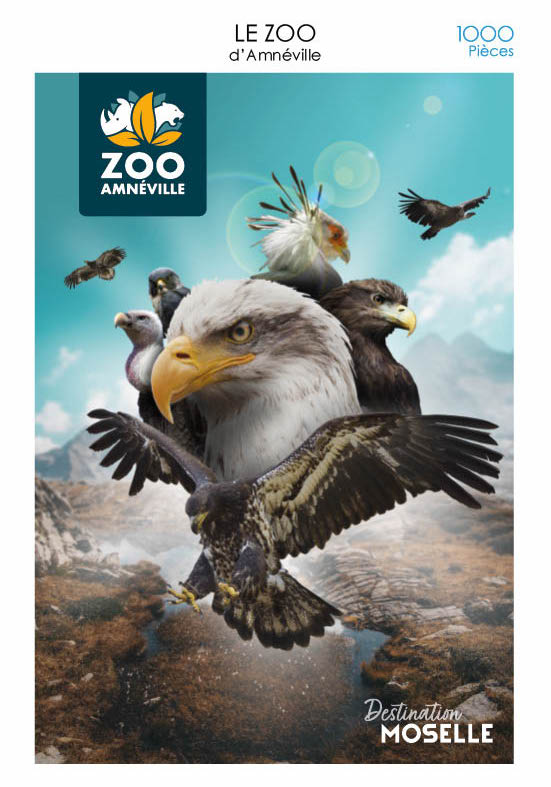 Puzzle_Zoo_aigles