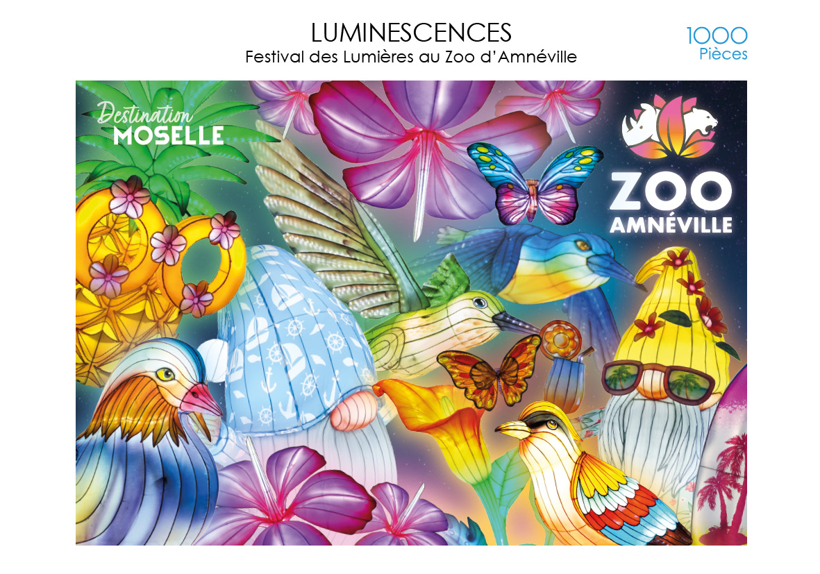 Puzzle_Luminescences 2023