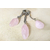 PC Quartz Rose