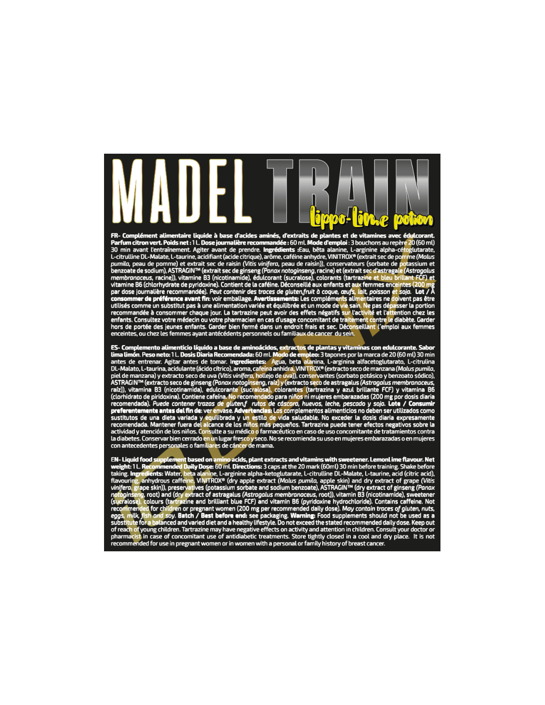 madeltraincit2