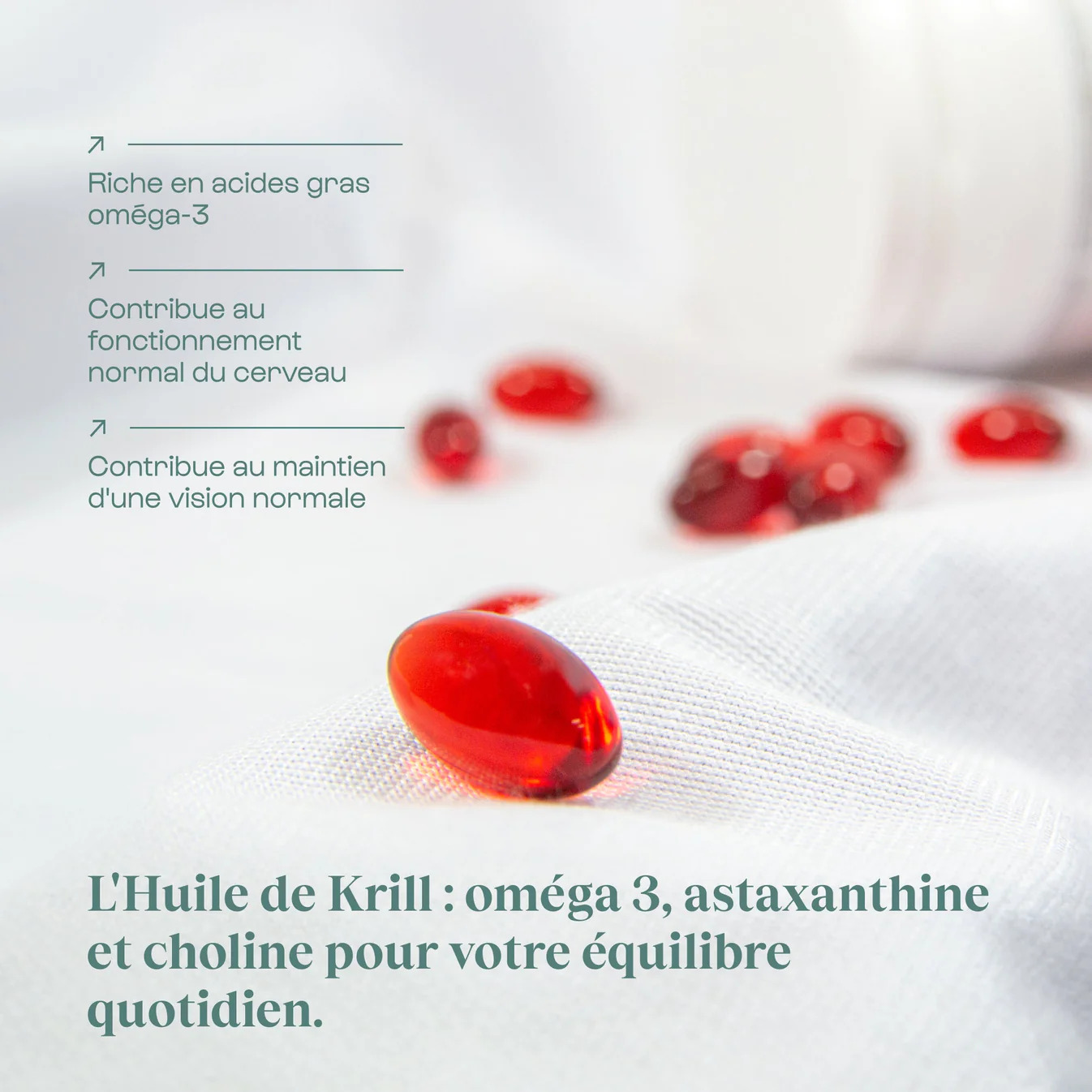 KRIL_AMZ_FI_4_a69e477c-7e81-4782-81af-a427bed2573a.jpg