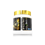 iogenix creatine-micronized-300g