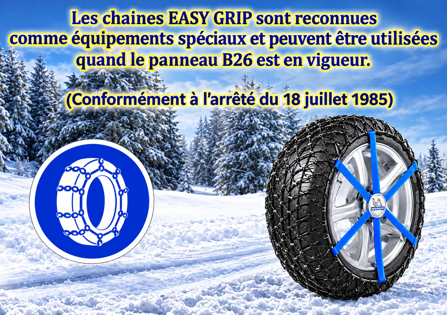 MICHELIN EASY GRIP PL EVO BLEU 8