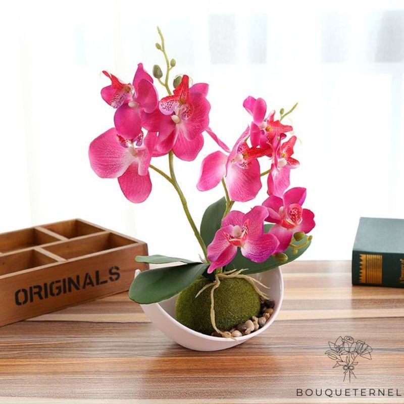 Fausse Orchidée En Pot