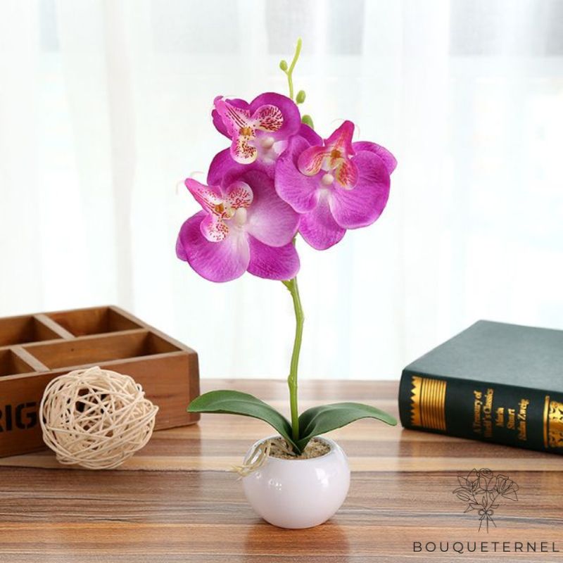 Orchidée Artificiel En Pot | Bouquet Artificiel | Orchidées Artificielles | Bouqueternel