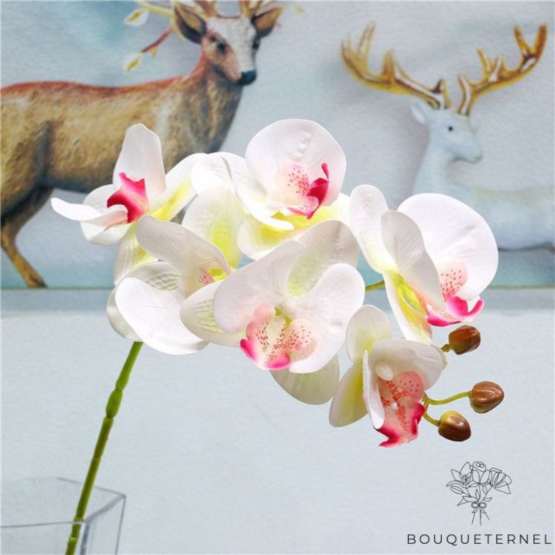 Orchidée Artificielle Blanche & Grande