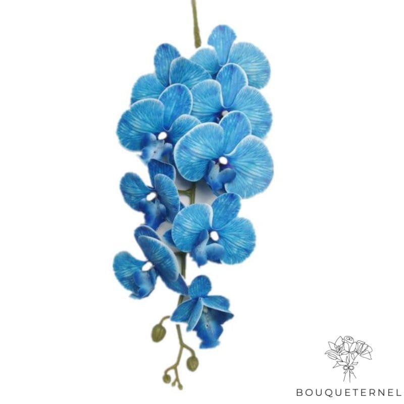 Orchidée Artificielle Bleu | Bouquet Artificiel | Orchidées Artificielles | Bouqueternel