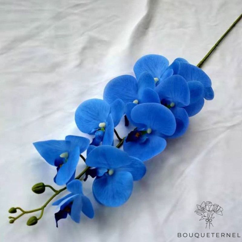 Orchidée Artificielle Bleu Marine
