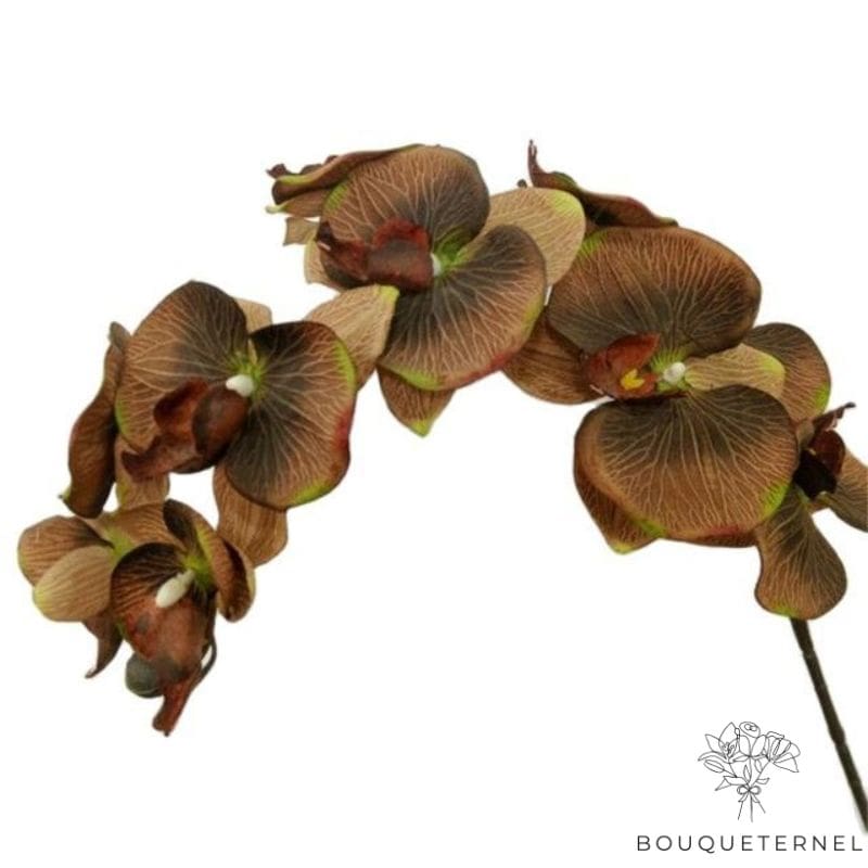 Fausse Orchidée | Bouquet Artificiel | Orchidées Artificielles | Bouqueternel