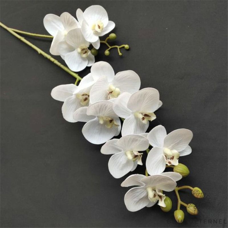 Fausse Orchidée Déco | Bouquet Artificiel | Orchidées Artificielles | Bouqueternel