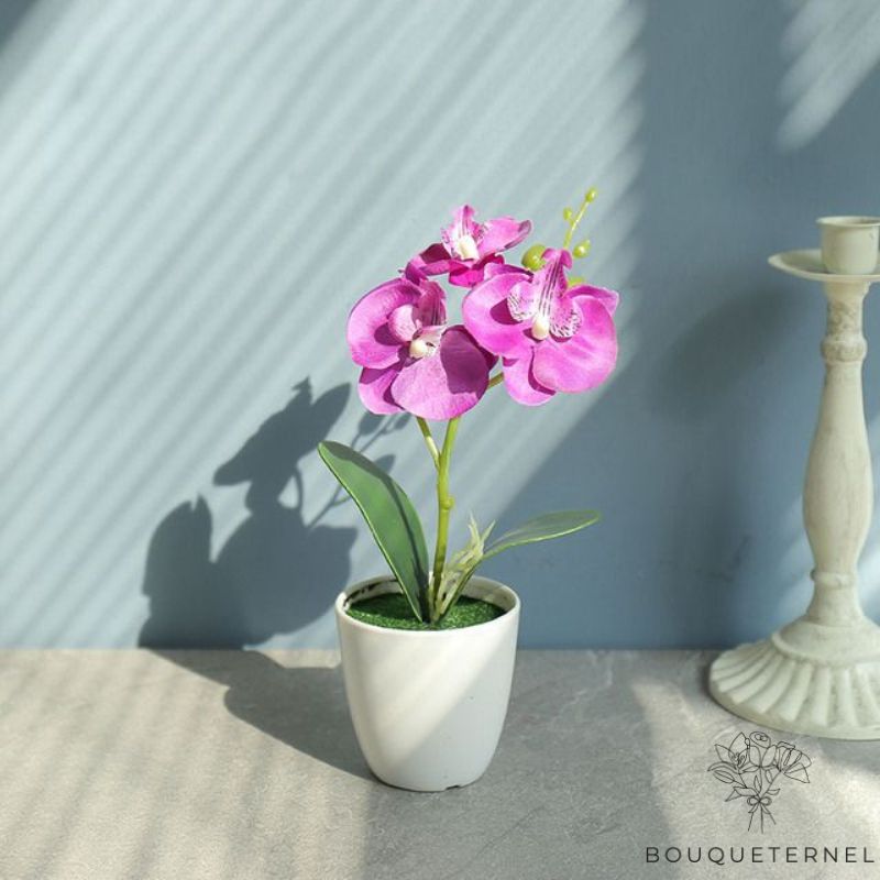 orchidée artificielle en pot haut de gamme | Bouquet Artificiel | Orchidées Artificielles | Bouqueternel