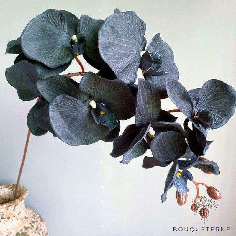 orchidée artificielle noire | Bouquet Artificiel | Orchidées Artificielles | Bouqueternel
