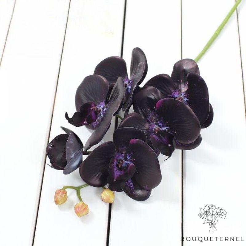 orchidée artificielle pour décoration | Bouquet Artificiel | Orchidées Artificielles | Bouqueternel