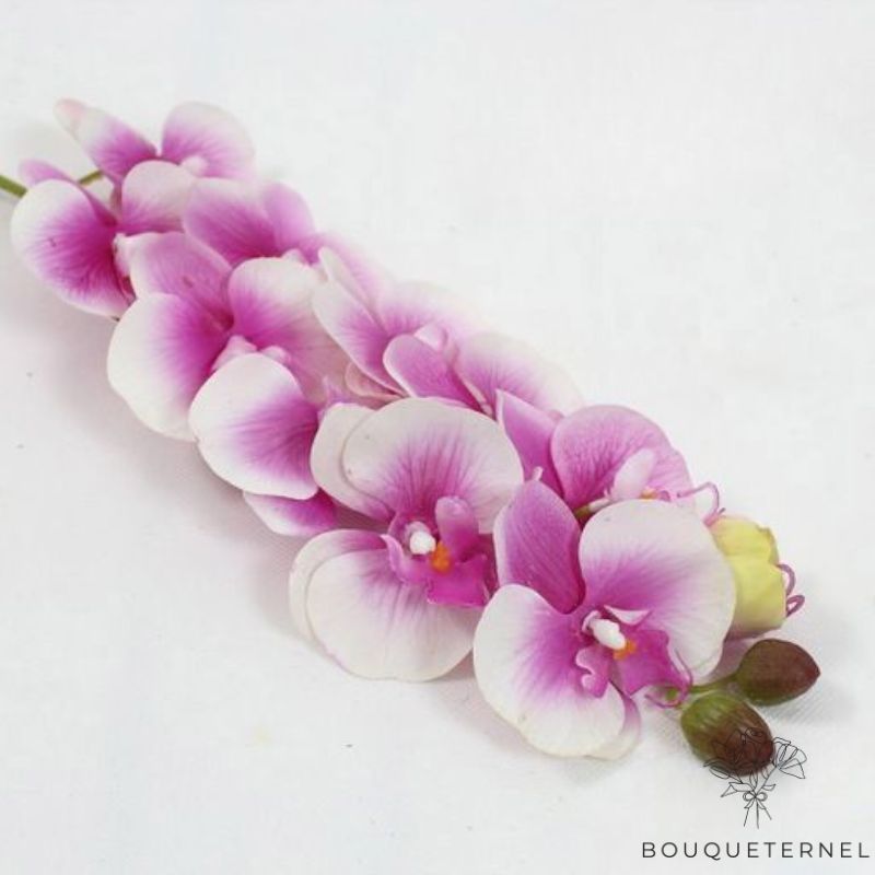 Orchidée Artificielle Réaliste | Bouqueternel