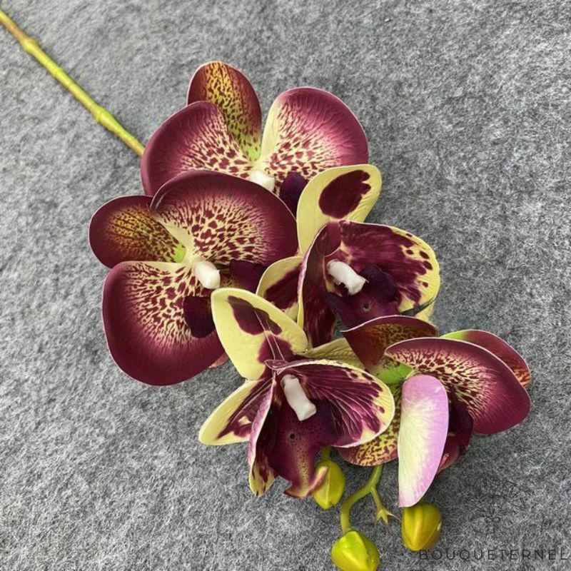orchidée artificielle toucher naturel | Bouquet Artificiel | Orchidées Artificielles | Bouqueternel