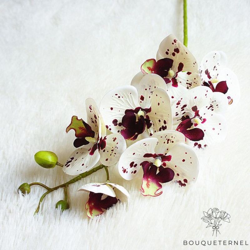 Orchidée Blanche Fleur Artificielle | Bouqueternel