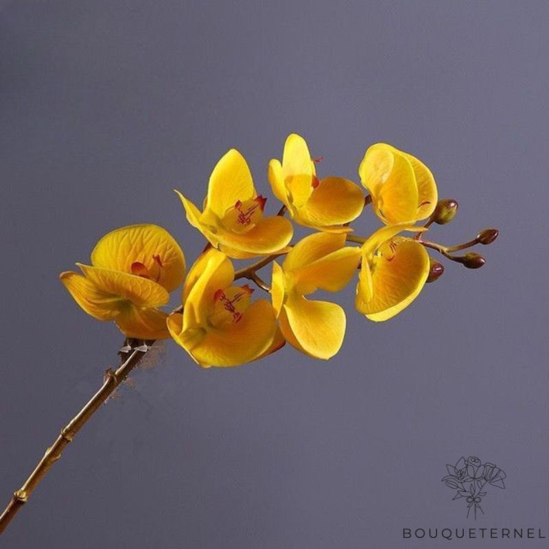 orchidée jaune artificielle | Bouquet Artificiel | Orchidées Artificielles | Bouqueternel
