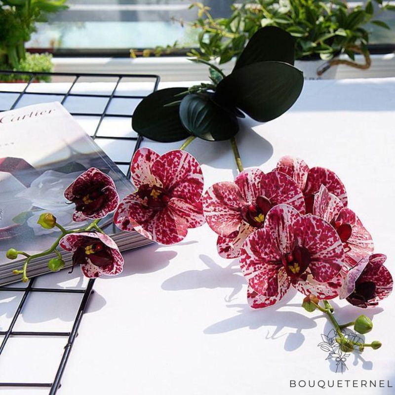orchidée vanda artificielle | Bouquet Artificiel | Orchidées Artificielles | Bouqueternel