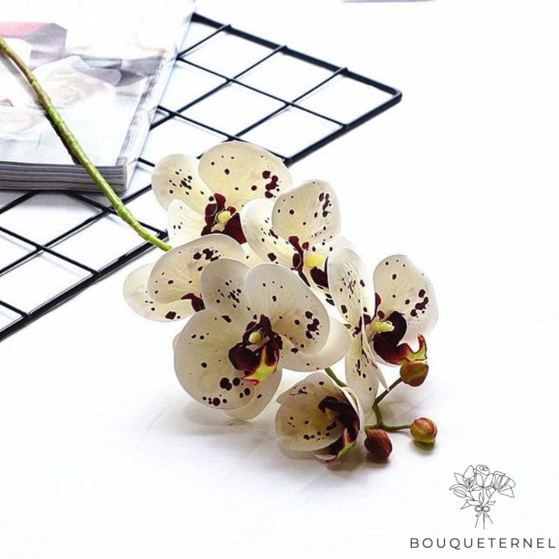 tige orchidée artificielle blanche | Bouquet Artificiel | Orchidées Artificielles | Bouqueternel