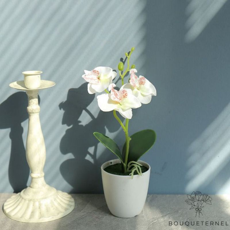 Vase d\'Orchidée Artificielle
