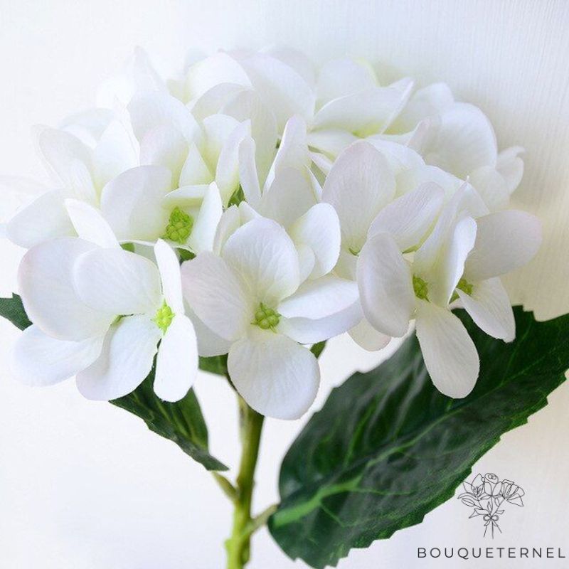 Hortensia Artificielle Blanche | Fleur Artificielle | Hortensia Artificiel | Bouqueternel