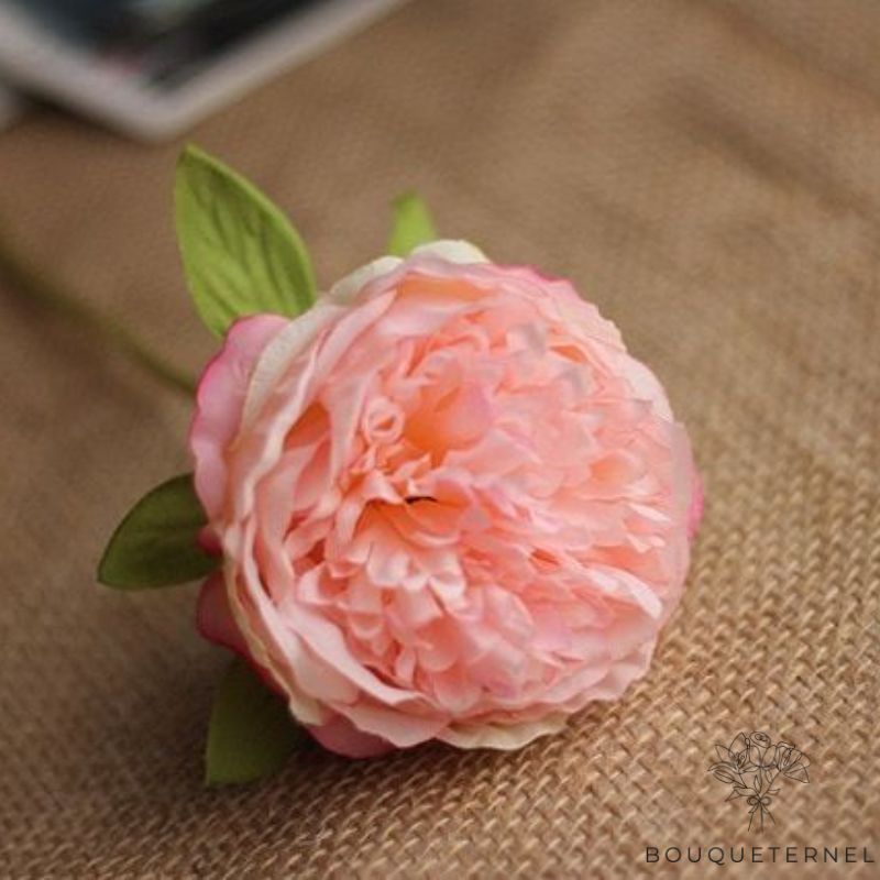 Pivoine Rose Artificielle | Fleur Artificielle | Pivoine Artificielle | Bouqueternel