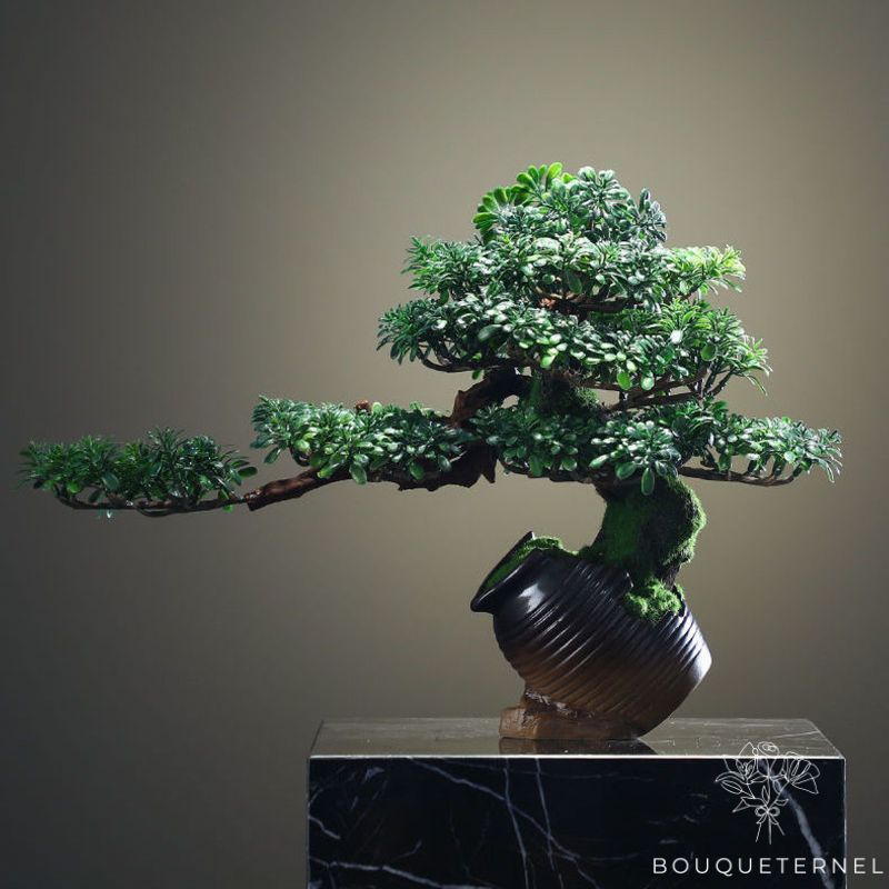 Bonzai Ficus Artificiel de Luxe