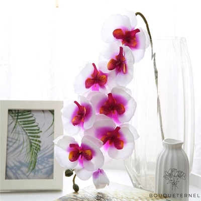 Orchidées Tetraspis Artificielles