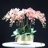 Composition Orchidée Artificielle | Bouquet Artificiel | Orchidées Artificielles | Bouqueternel